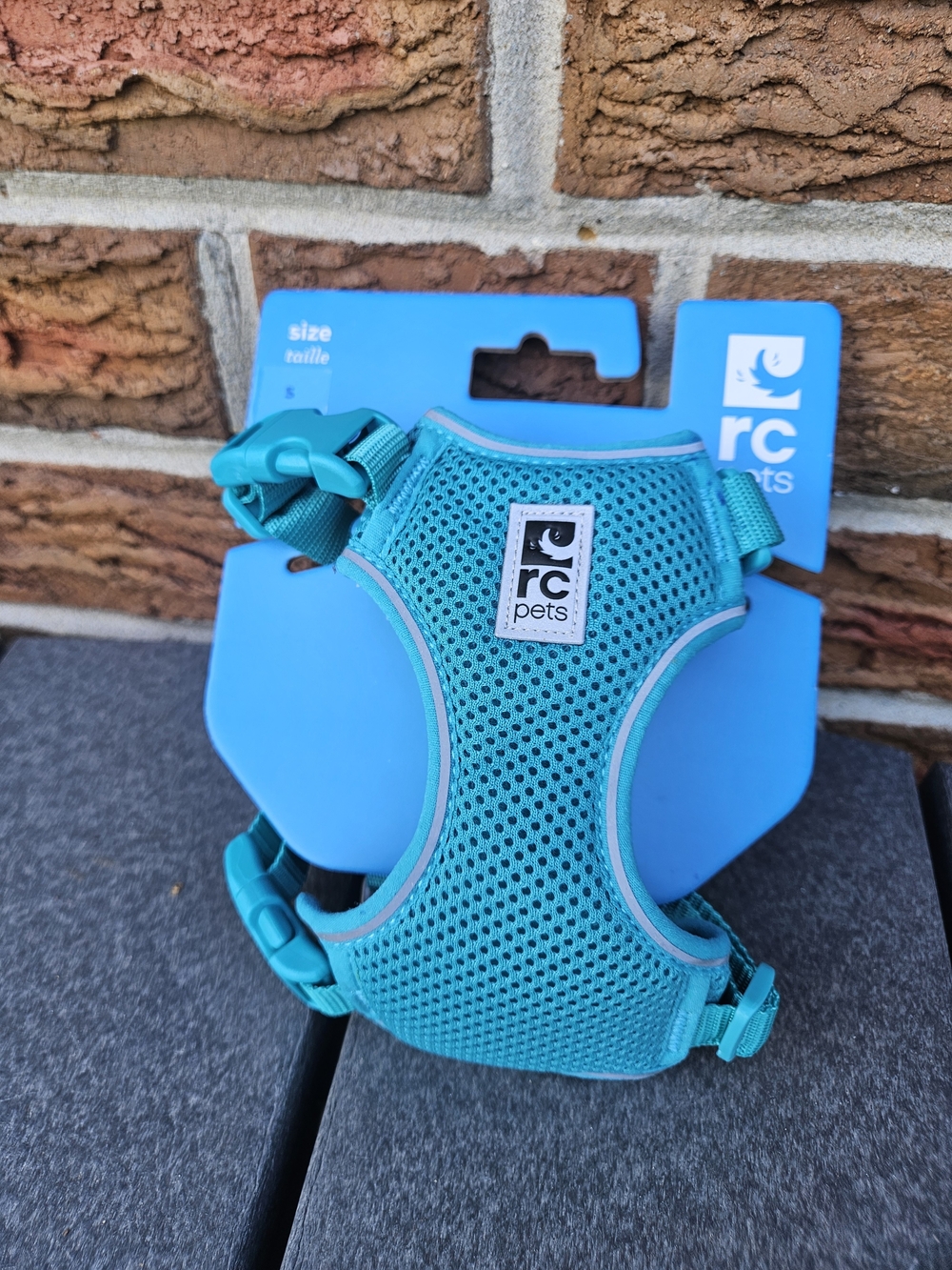 🐱 RC Pets Adventure Kitty Cat Harness + 6' Leash – Teal – Small